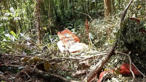 Avião da FAB é encontrado destruído em Santa Catarina e com os dois tripulantes mortos