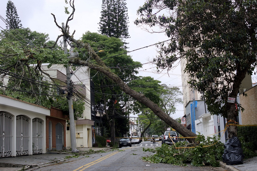 Apagão afeta 1,6 milhão de residências na Grande São Paulo e Enel não dá prazo para restabelecer energia 