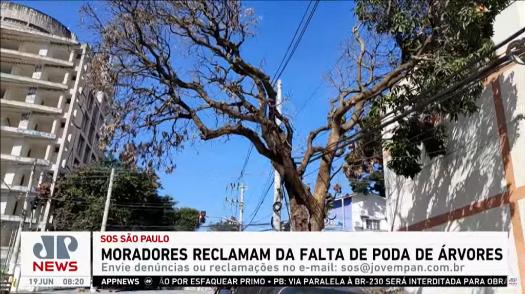 Moradores da capital paulista reclamam de falta de poda de árvores em Perdizes