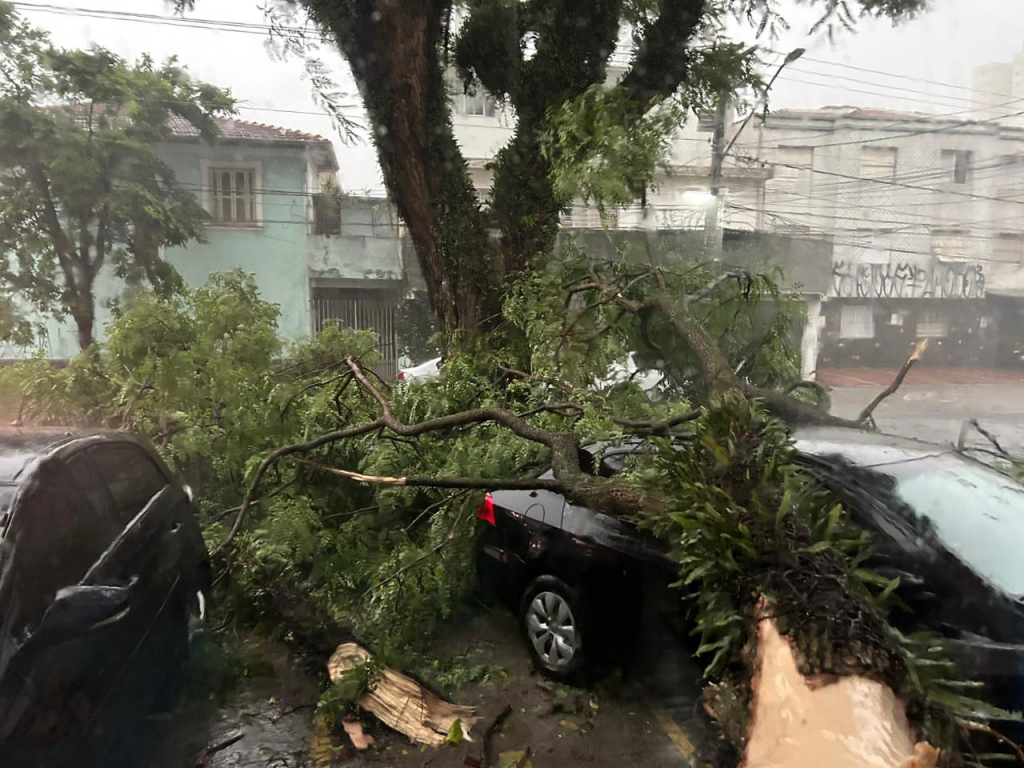 Defesa Civil de SP emite alerta para tempestades e rajadas de vento – Headline News, edição das 20h