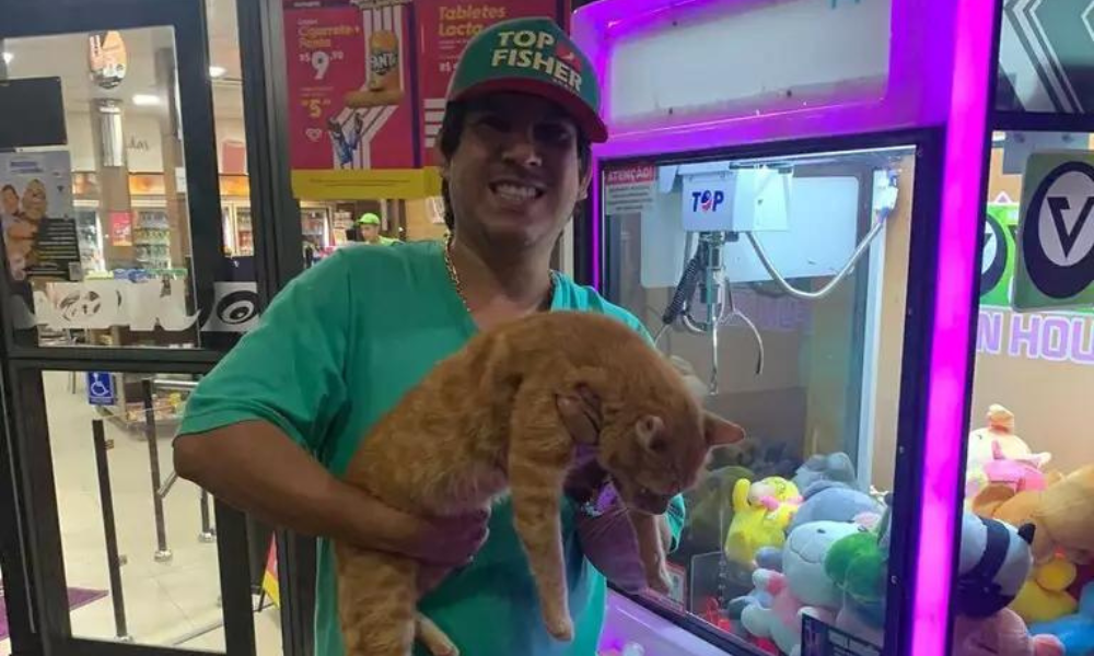 Homem ‘ganha’ gato de verdade em máquina de pelúcias em Mato Grosso do Sul; veja o vídeo