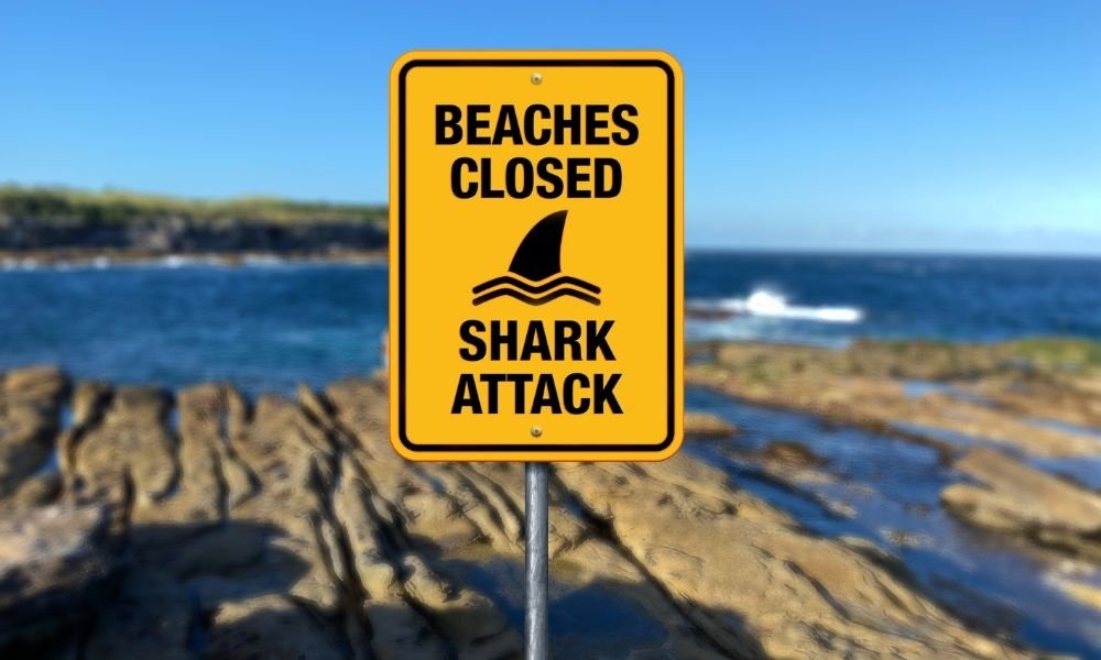 Tubarão mata banhista em praia de Sydney no primeiro ataque mortal dos últimos 60 anos