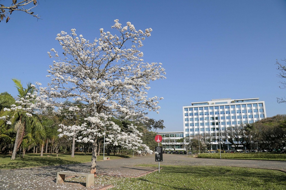 USP retoma liderança no ranking das melhores universidades da América Latina em 2024 