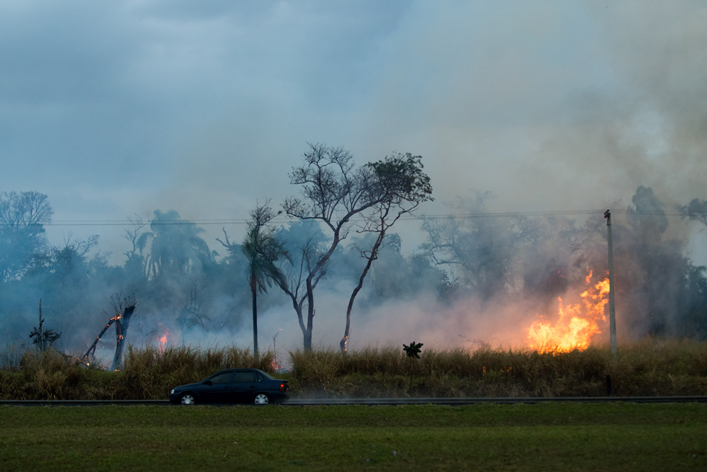 Governo de SP reforça operação de combate ao fogo e monta posto avançado em Ribeirão Preto