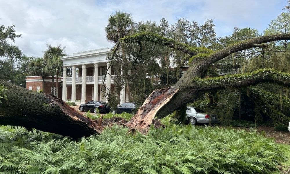 Furacão Idalia derruba árvore de 100 anos sobre mansão do governador da Flórida