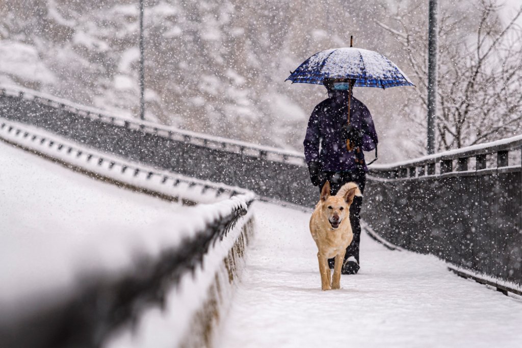Após ter dia mais frio em 25 anos, Espanha se prepara para uma das maiores nevascas em décadas
