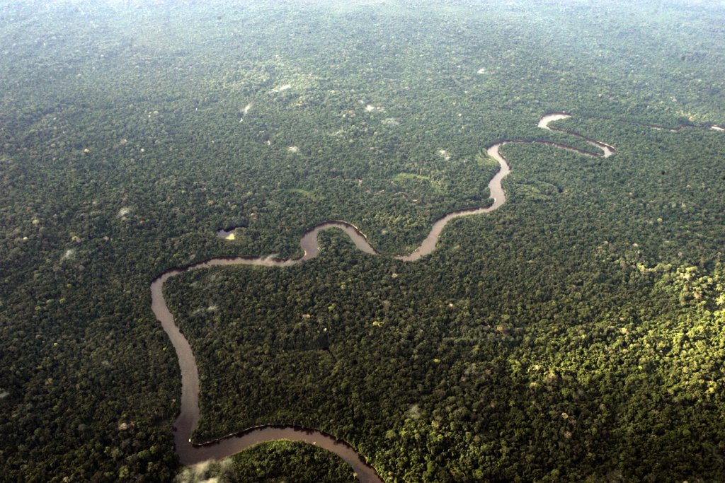 Jair Bolsonaro edita decreto que cria Pró-Amazônia Legal