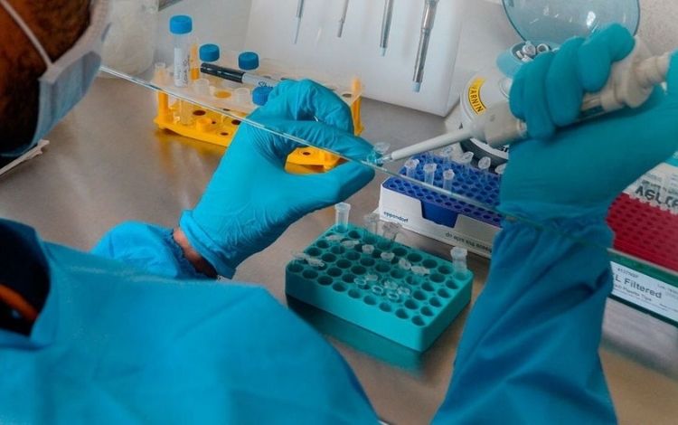 Pará faz investigação após suspeitar de duas infecções por variante indiana da Covid-19