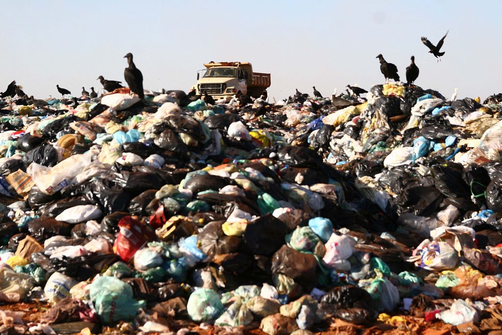 Apenas 3% do lixo seco gerado no Brasil é reciclado