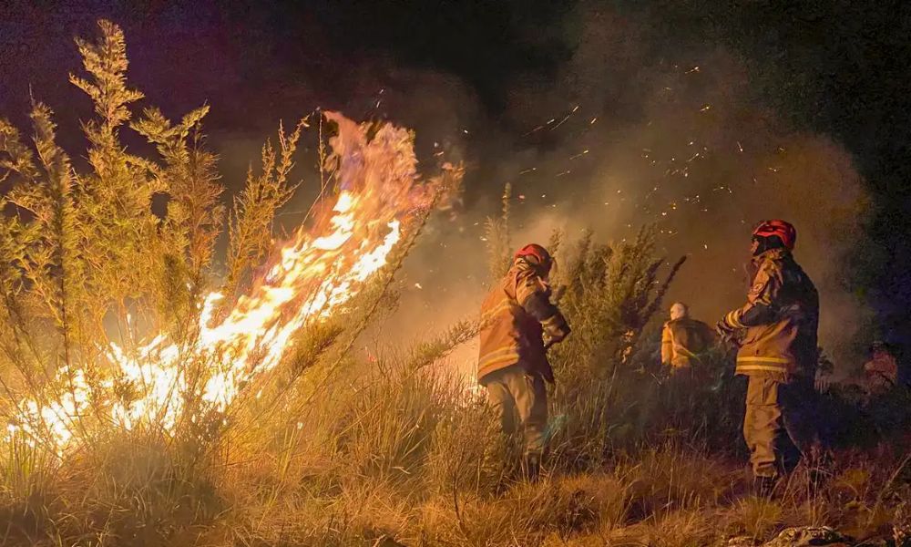 Queimadas atingem 22,38 milhões de hectares no Brasil em 2024 