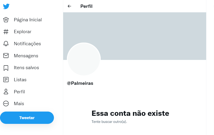 Perfil oficial do Palmeiras no Twitter sai do ar e rivais zoam: ‘Caiu pela 3ª vez’