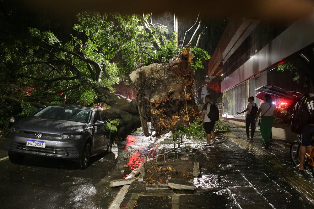 Bairros de São Paulo amanhecem sem luz após chuva na noite de quarta-feira