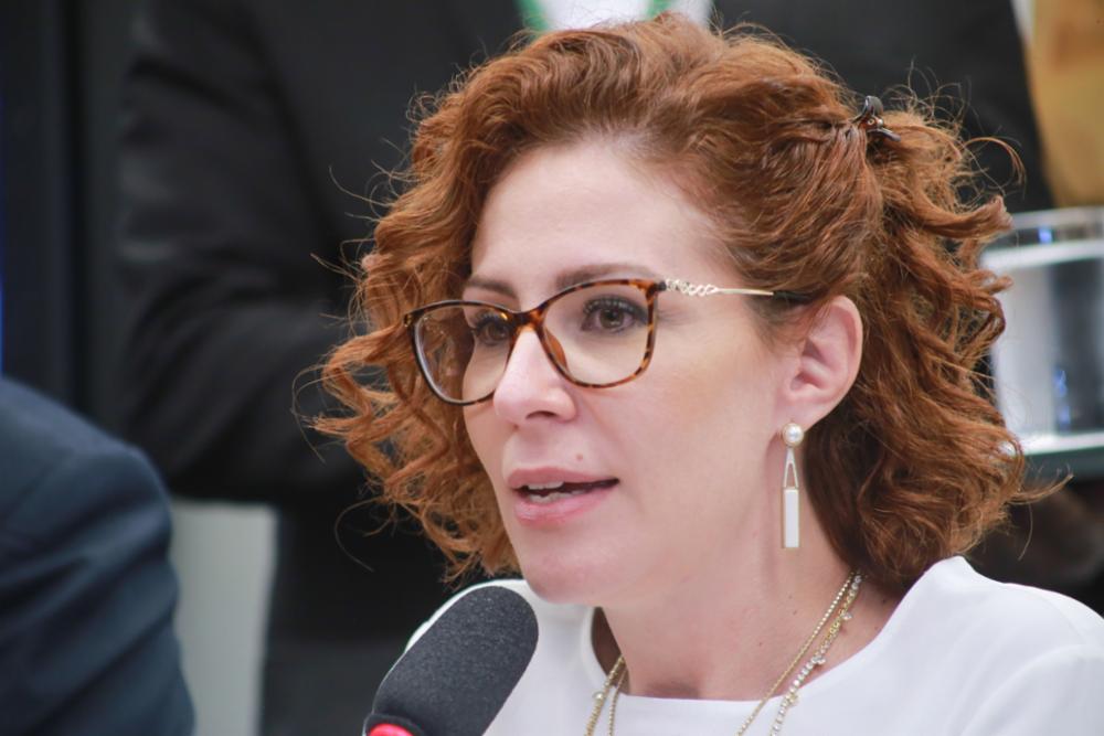 Deputados vão apresentar PL para dar ‘anistia’ a Daniel Silveira, afirma Carla Zambelli