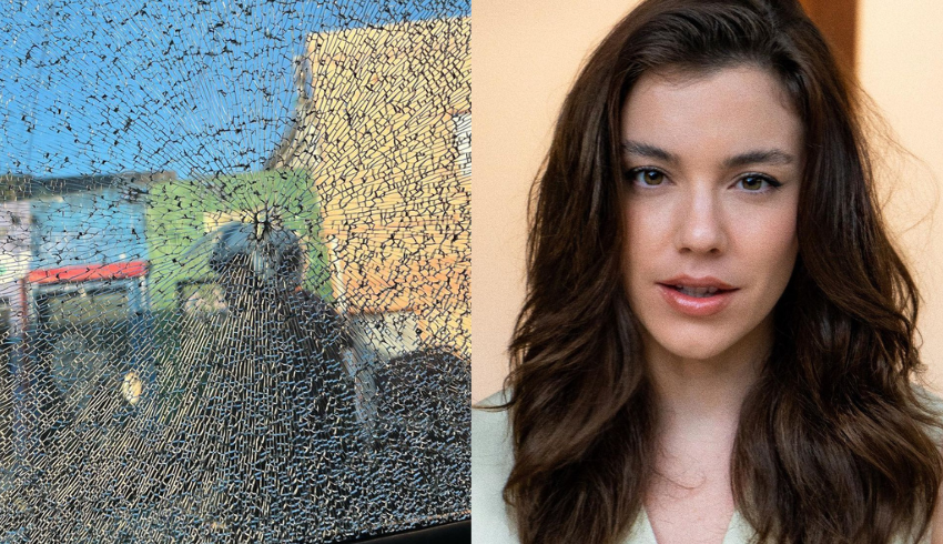 Artista plástica mostra carro após golpe de machado, e Alice Wegmann comenta: ‘Passei pelo mesmo’