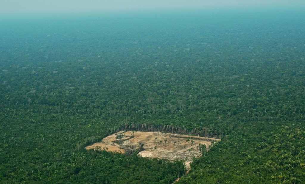 Inpe registra 1.012 km² de floresta derrubados na Amazônia em abril