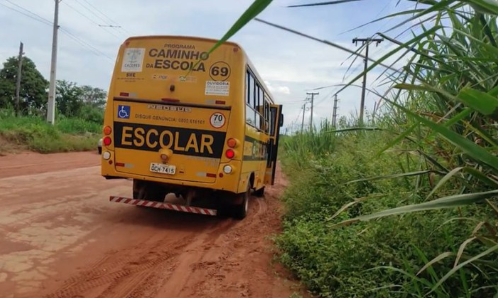 Motorista é preso por transportar drogas em ônibus escolar no Mato Grosso