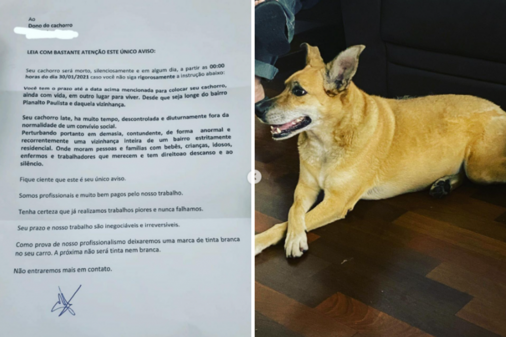 Família recebe carta anônima com ameaça de morte à cachorra: ‘Vai morrer silenciosamente’