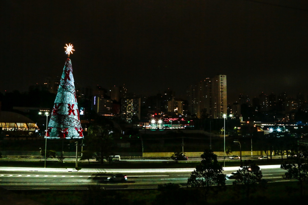 Para pulverizar aglomeração, Parque Ibirapuera inaugura três árvores de Natal
