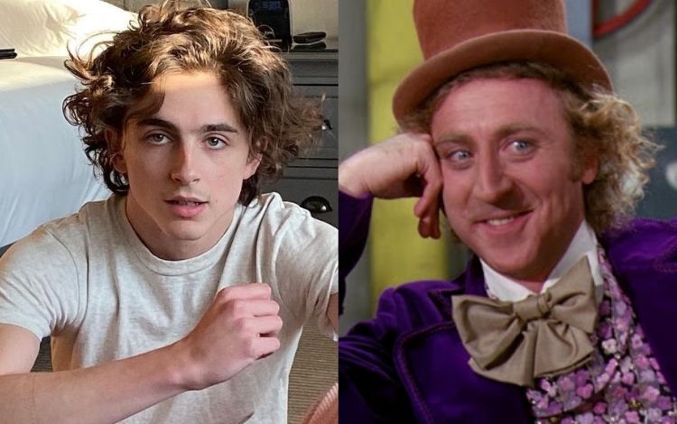 Timothée Chalamet será Willy Wonka em spin-off de ‘A Fantástica Fábrica de Chocolate’