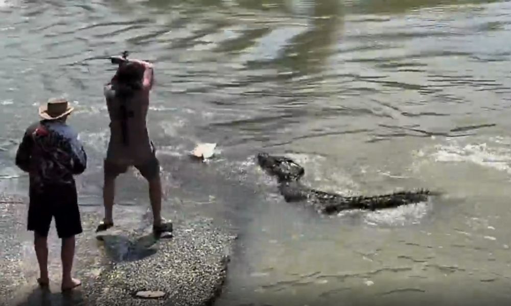 Homem e crocodilo disputam peixe em Parque Nacional da Austrália; veja vídeo