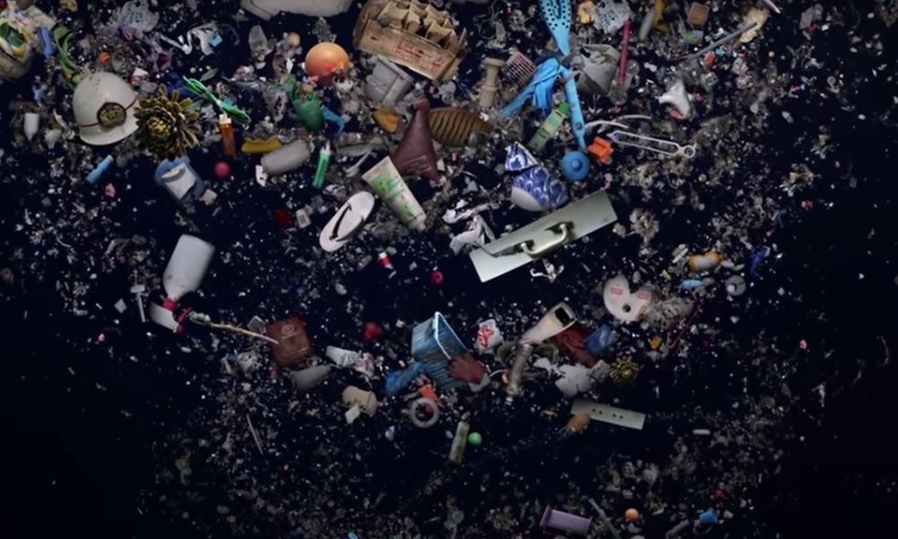 Saiba o que é a Mancha de Lixo do Pacífico e por que ela desenvolveu ecossistema próprio