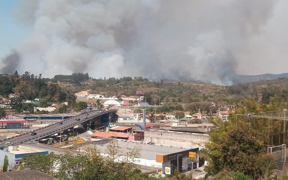Incêndio atinge área de vegetação do Parque Estadual de Juquery, em Franco da Rocha