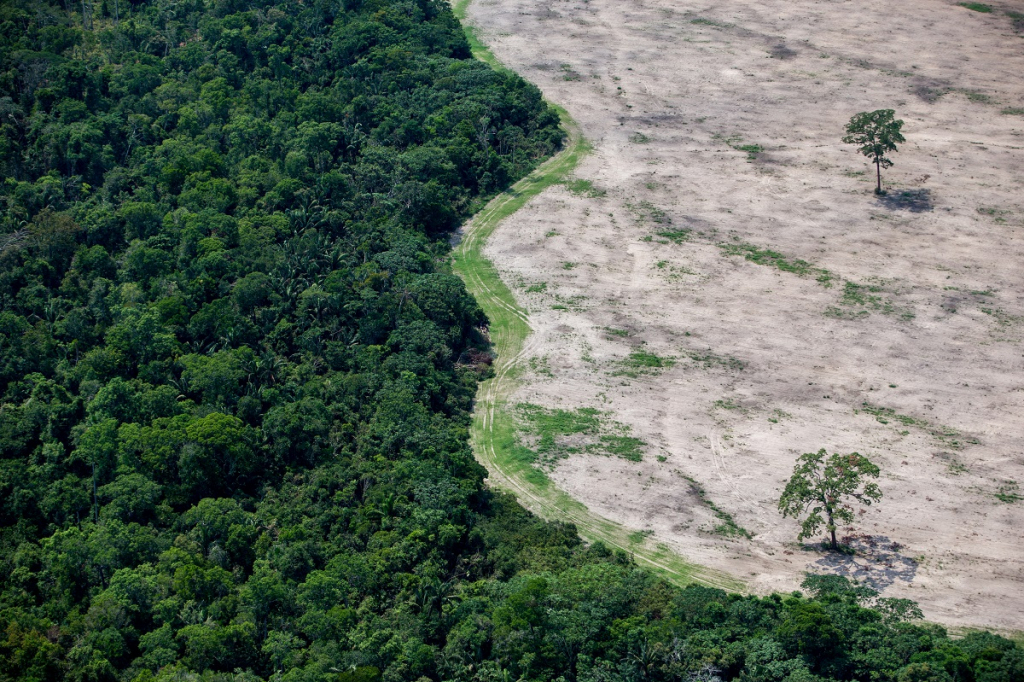Desmatamento na Amazônia registra o segundo pior trimestre desde 2008