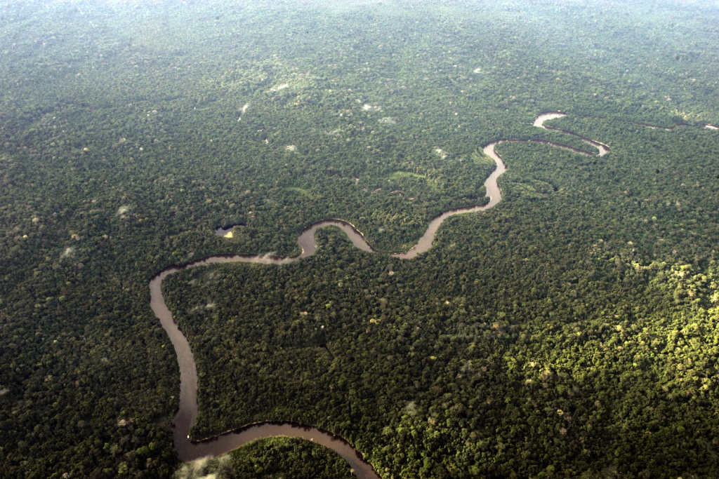 Em junho, desmatamento na Amazônia bate recorde pelo 4º mês consecutivo