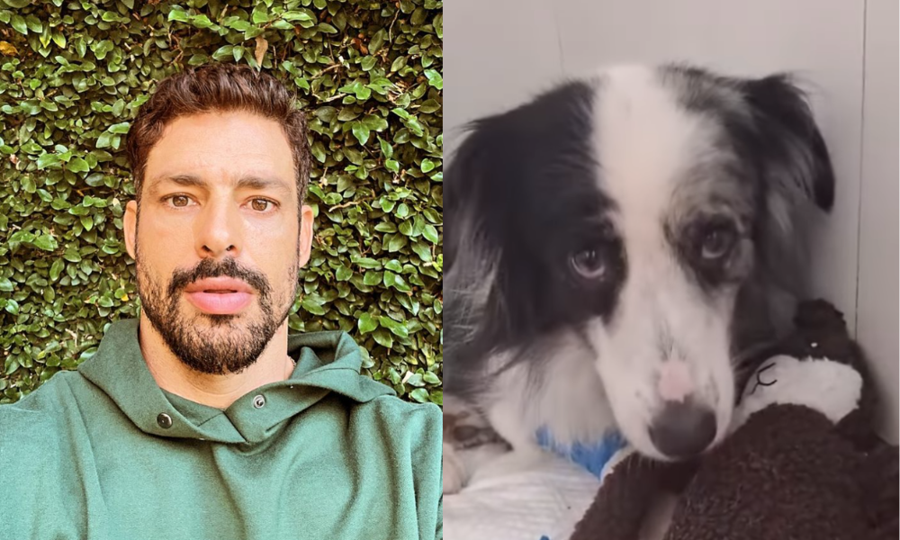 Cauã Reymond atualiza estado de saúde de sua cachorrinha Shakira