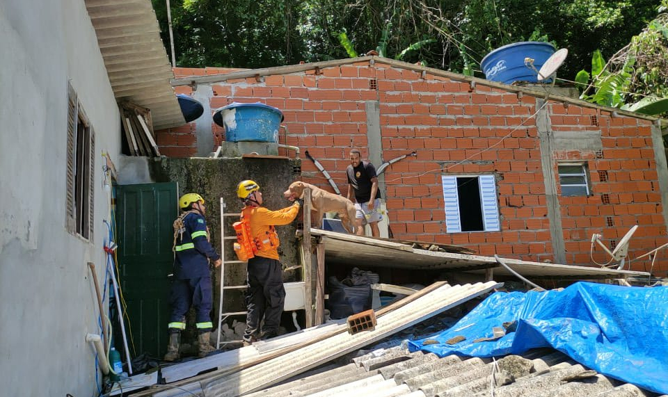 Corretor explica o que fazer com os seguros em caso de desastres naturais como no litoral paulista