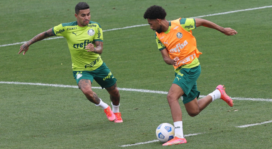 Abel Ferreira arma Palmeiras para pegar América-MG sem trio titular