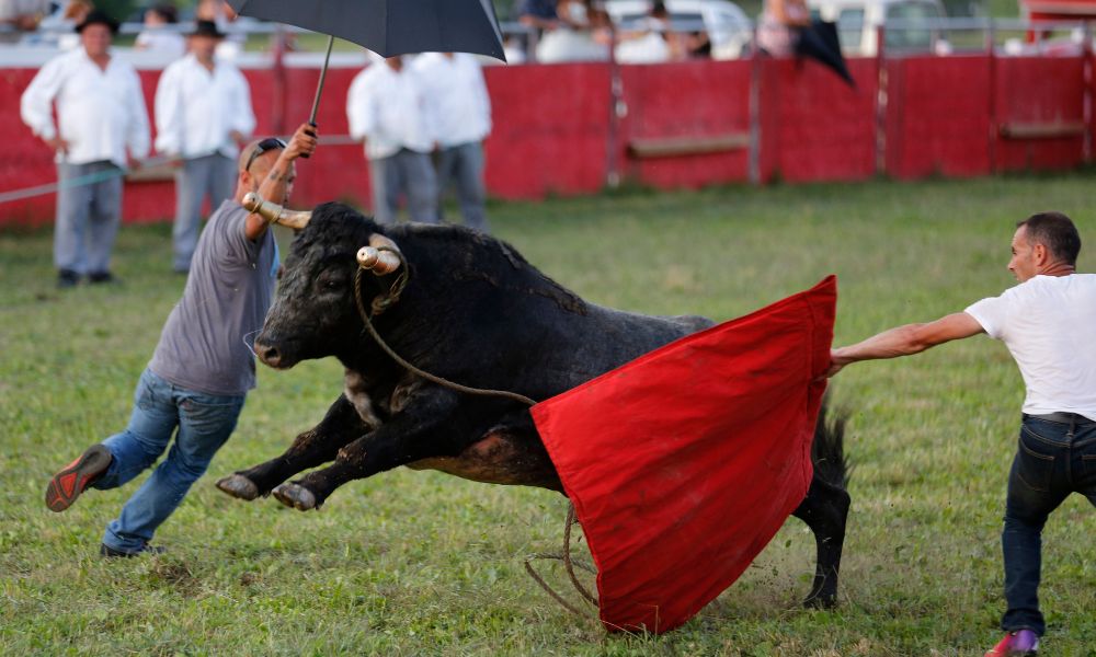 México proíbe touradas na maior arena do mundo em prol dos animais