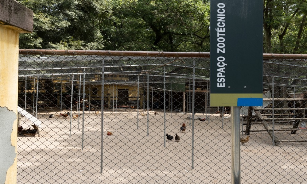 Parque da Água Branca isola pássaros em prevenção à gripe aviária