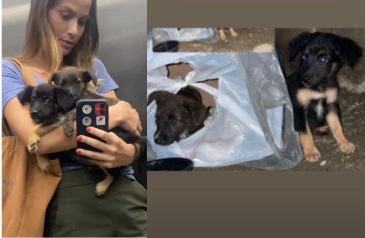 Atriz Luiza Valdetaro resgata cachorros deixados em parque dentro de sacola plástica