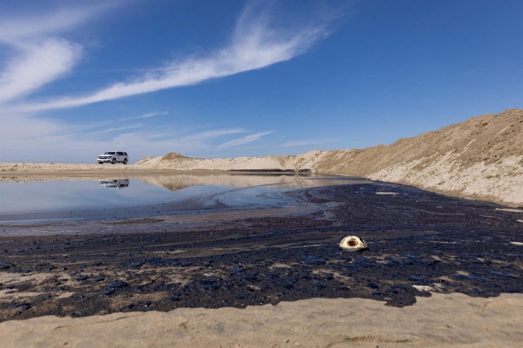 Vazamento de petróleo mata animais e causa mancha quilométrica no mar da Califórnia