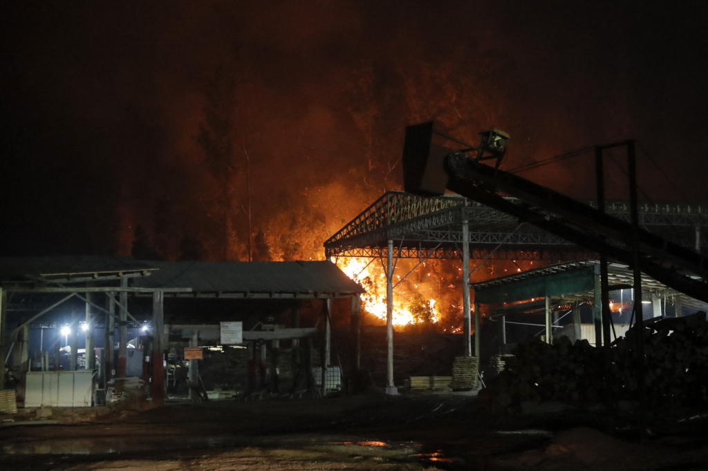Chile confirma 13 mortes causadas por incêndios florestais