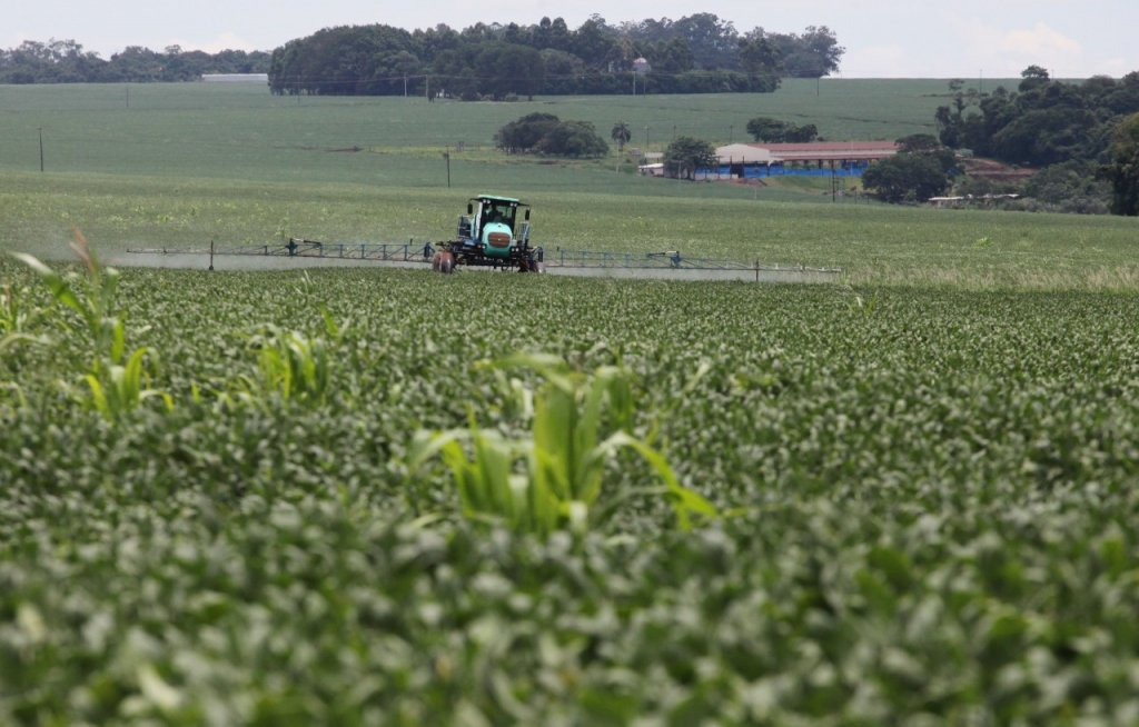 Consultoria do Senado vê inconstitucionalidade em projeto sobre agrotóxicos