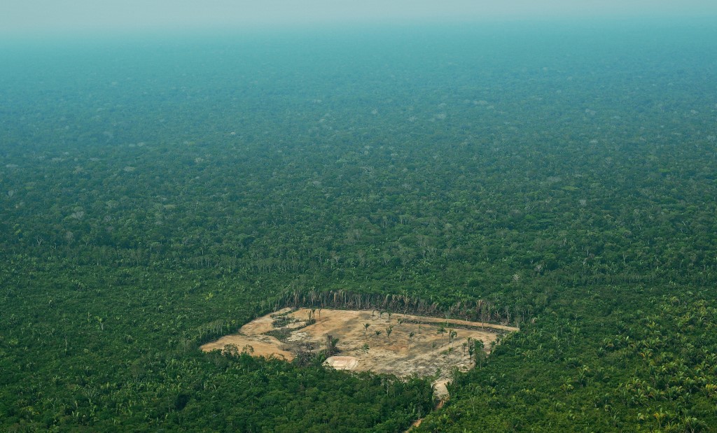 Desmatamento na Amazônia e no Cerrado apresenta queda significativa 