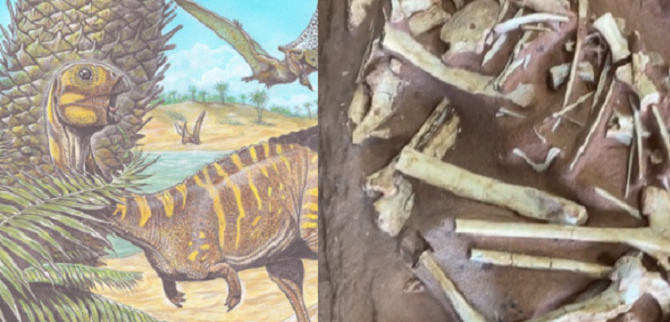Pesquisadores brasileiros descobrem nova espécie de dinossauro sem dente; veja animação