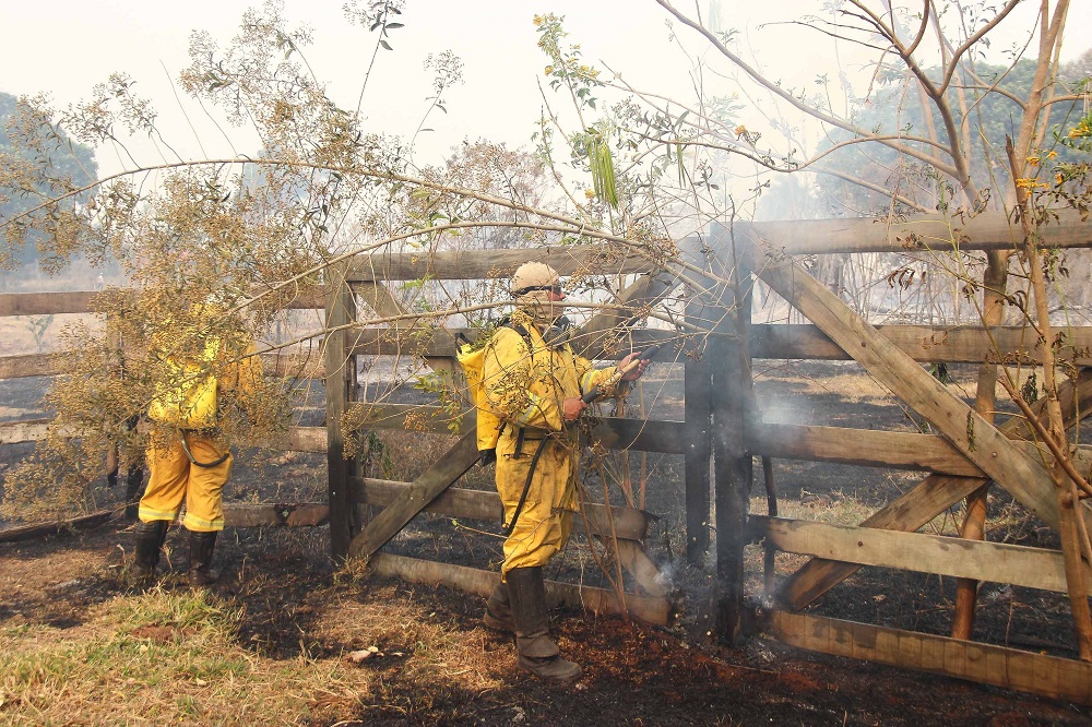 Governo Lula propõe aumento de penas para incêndios florestais e crimes ambientais 