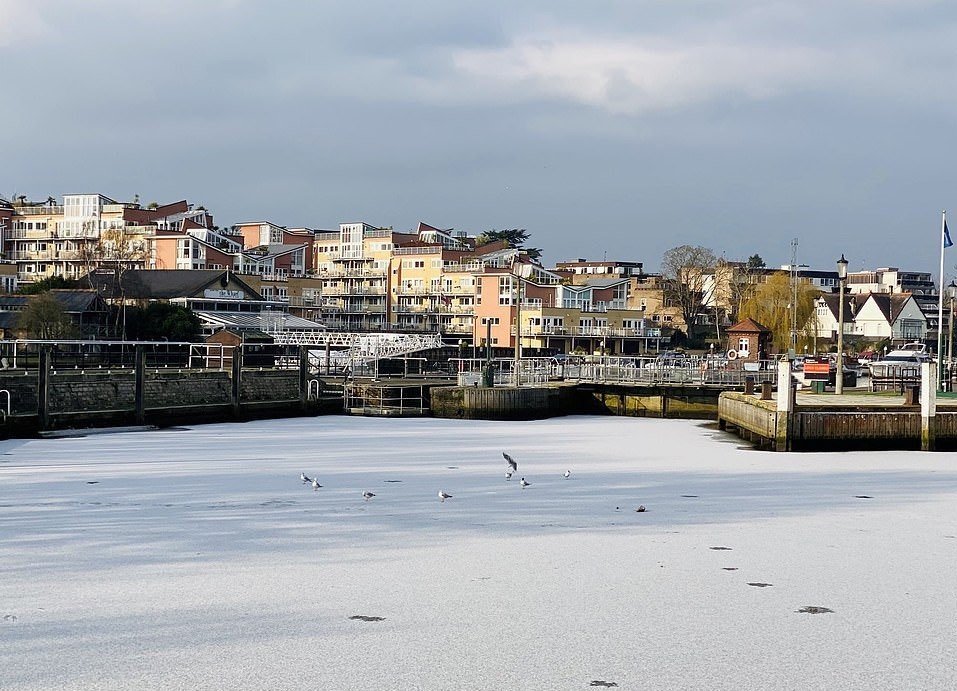 Parte do Rio Tâmisa congela devido às temperaturas negativas em Londres