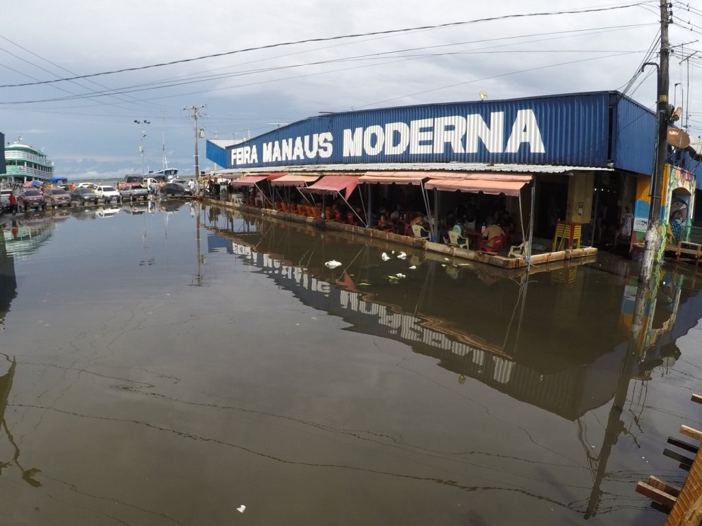 Manaus enfrenta maior inundação de sua história; veja imagens