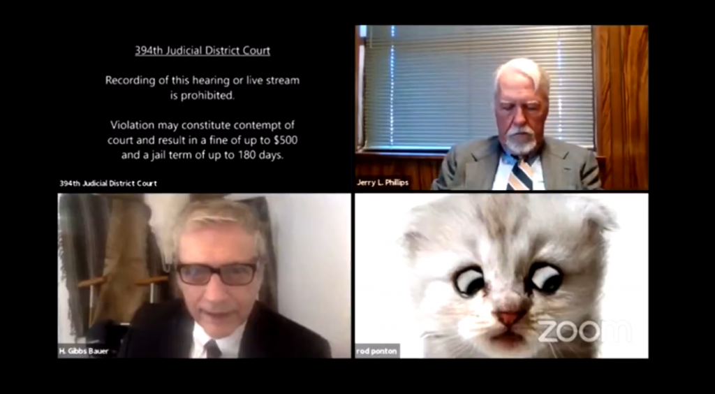 Advogado viraliza ao usar filtro de gatinho em audiência virtual pelo Zoom; assista