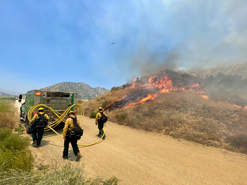 Mais de mil bombeiros tentam conter incêndio florestal na Califórnia 