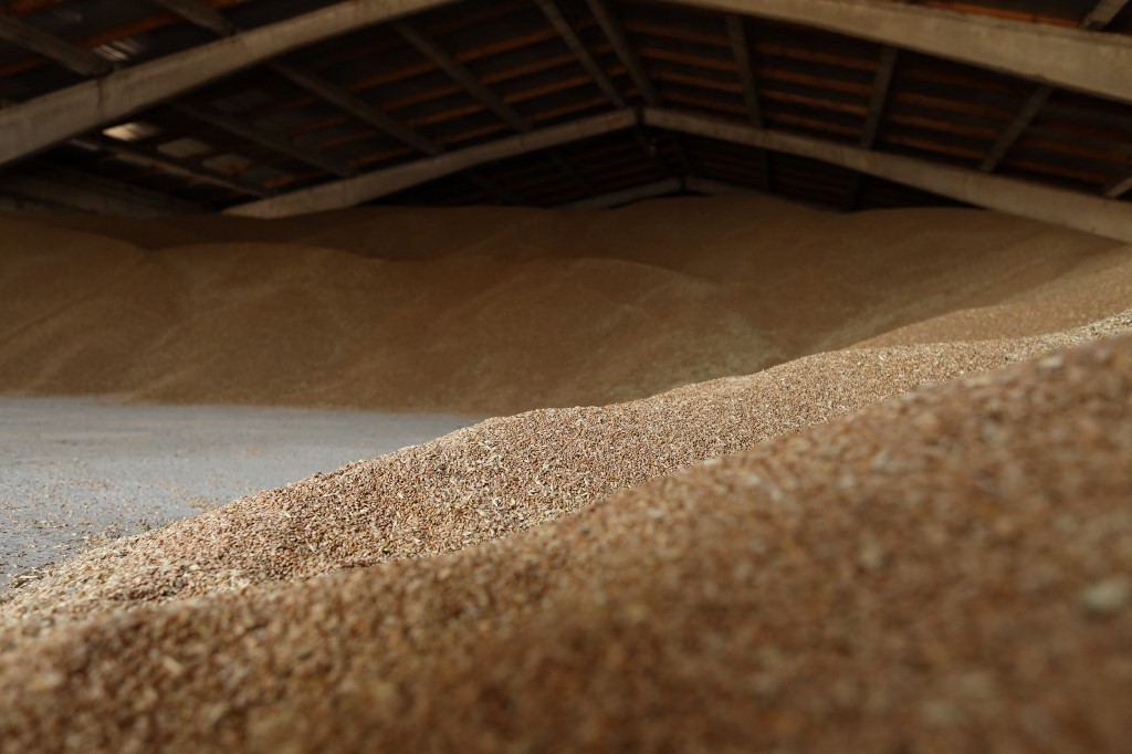 Rússia suspende acordo de grãos que evitou crise alimentar global e reduziu os preços de alimentos em mais de 20%