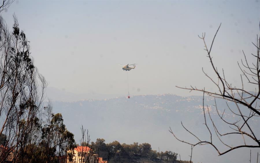 Pelo menos 25 soldados morrem tentando conter incêndios florestais na Argélia