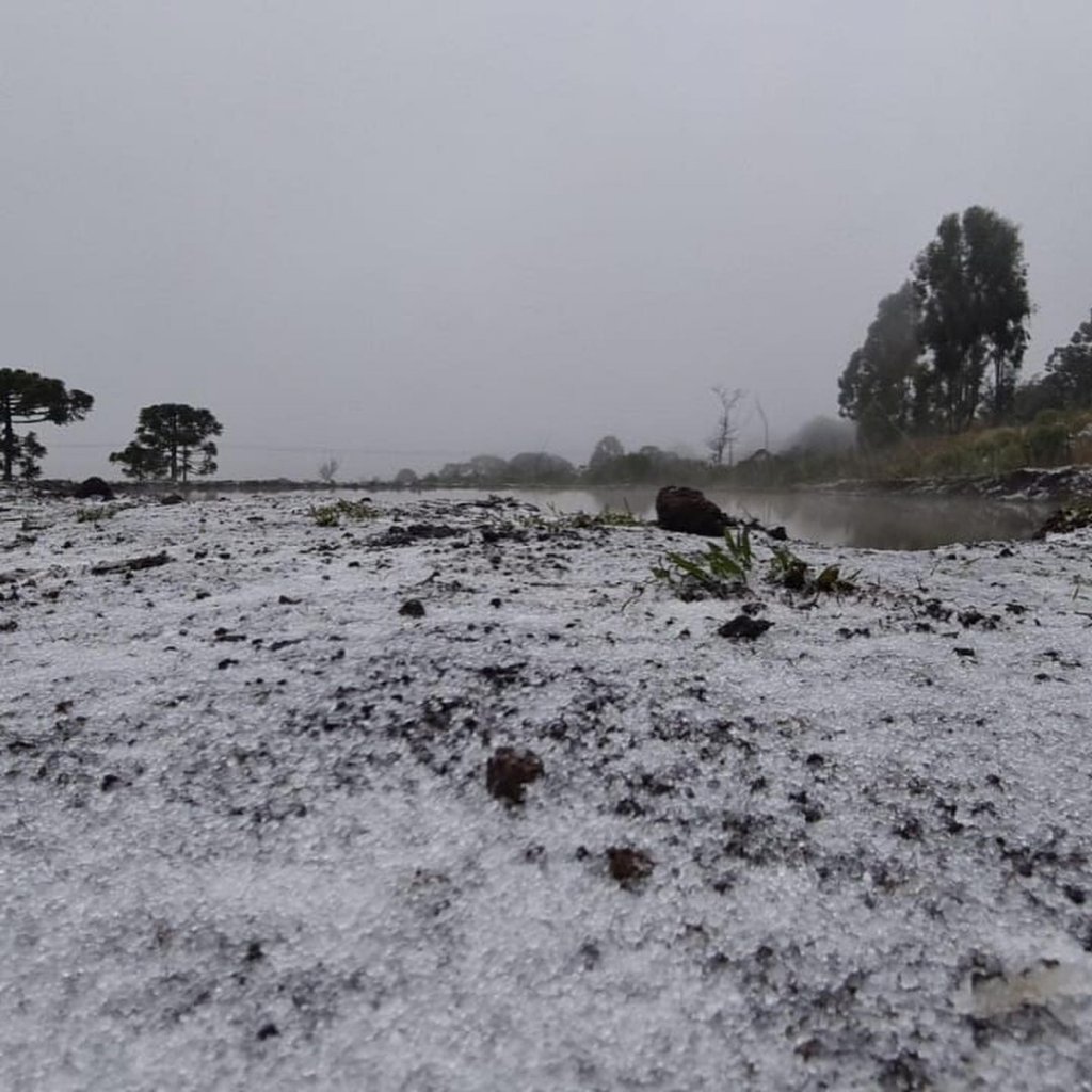 Santa Catarina registra primeira queda de neve do ano; veja imagens