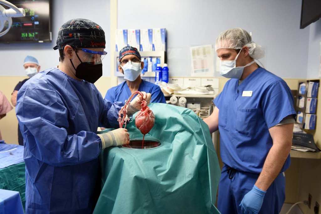Hospital confirma morte de primeiro paciente que recebeu transplante de coração de porco