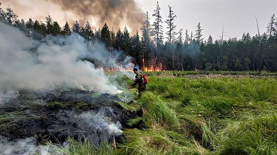 Mais de 4 milhões de hectares são devastados por incêndios florestais na Rússia