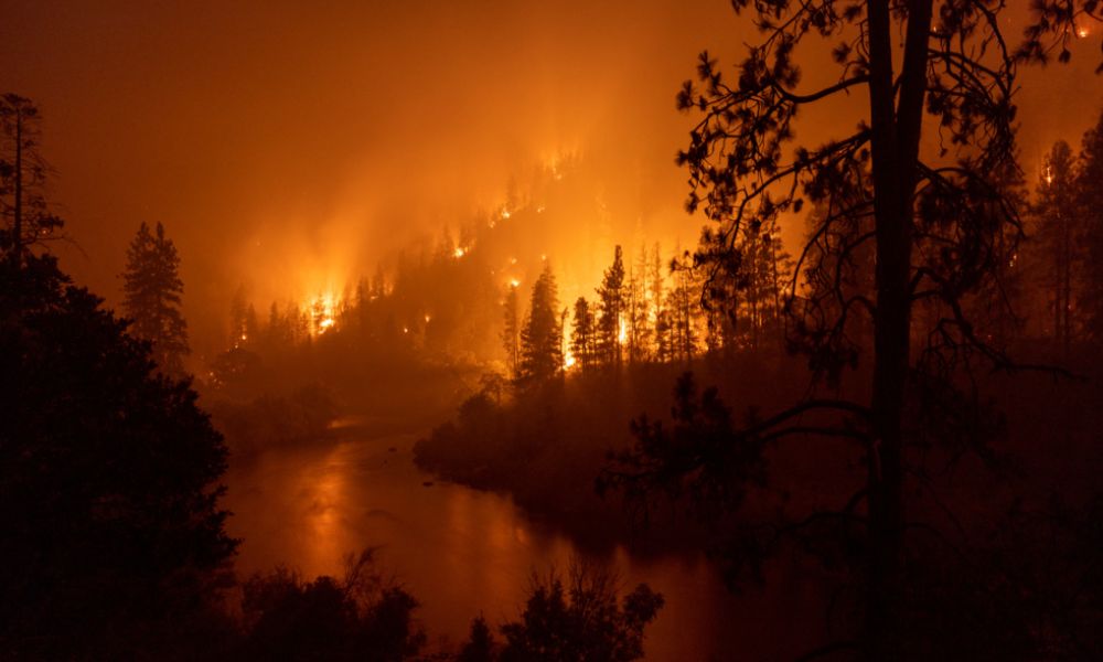Incêndio incontrolável deixa milhares de desabrigados e se torna o maior da Califórnia este ano